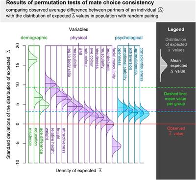 She Always Steps in the Same River: Similarity Among Long-Term Partners in Their Demographic, Physical, and Personality Characteristics